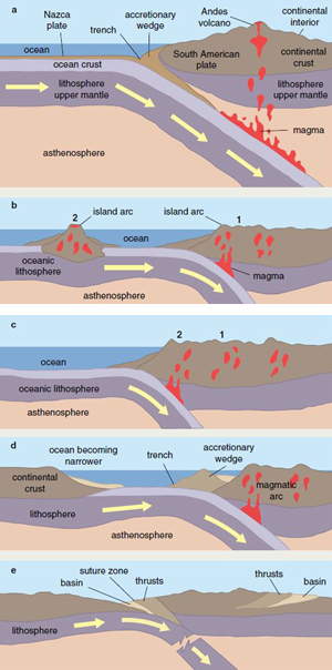 Movers And Shakers The Ocean Floor Subduction And Hotspots Flashcards Quizlet
