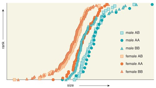 How similar is our DNA to a dog?