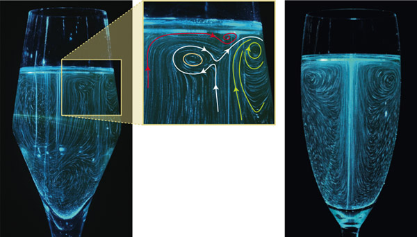 The History of the Champagne Glass: How Shape Affects Taste