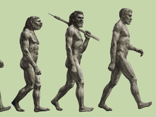 Refuting A Myth About Human Origins American Scientist