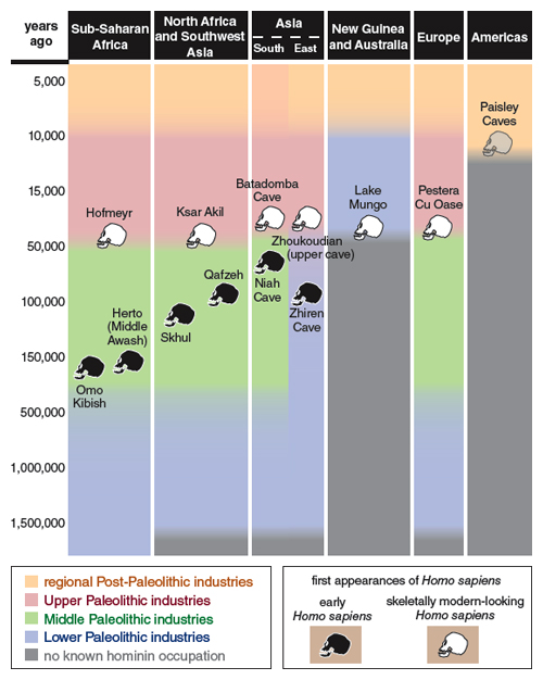 Refuting A Myth About Human Origins American Scientist Refuting A Myth About Human Origins American Scientist