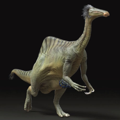 Resolving the long-standing enigmas of a giant ornithomimosaur Deinocheirus mirificus