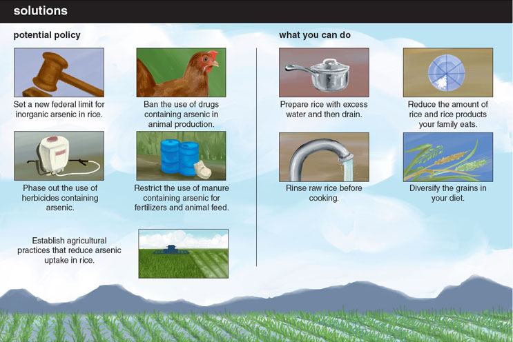 A variety of solutions could help reduce arsenic levels in the rice people eat, through policy and through individual actions. <strong>Stephanie Freese</strong>