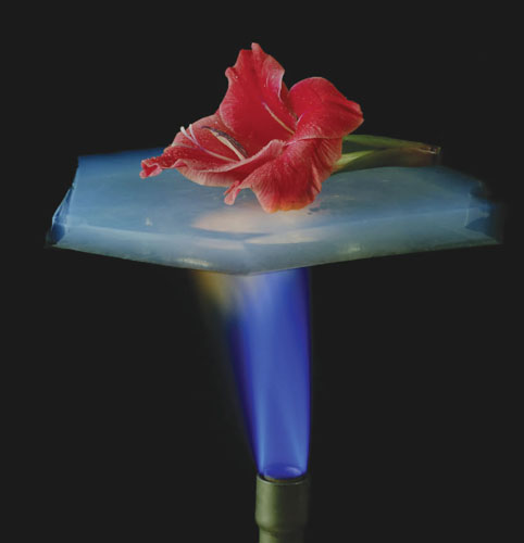 Aerogels are 99.8 percent air, yet they are exceptional insulators because they thwart air molecules from transferring thermal energy. The thin aerogel shown here is completely shielding a flower from the direct flame of a Bunsen burner.<strong> Image courtesy of NASA.</strong>