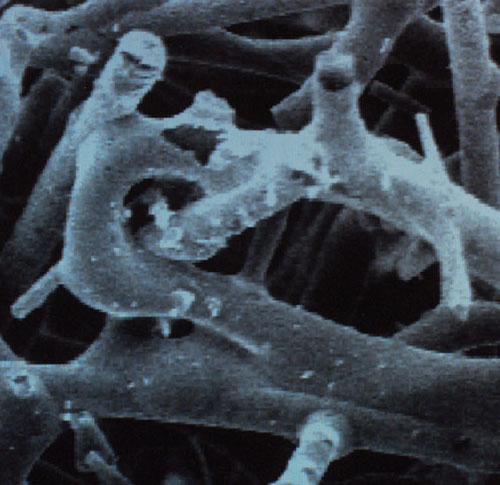 A microscopic view of an aerogel shows its complex skeleton structure, which gives the material its strong insulating properties. <strong>Image courtesy of NASA.</strong>