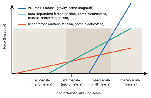 The Challenge of Manufacturing Between Macro and Micro