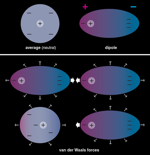 Engines Powered by the Forces Between Atoms | American Scientist Engines Powered by the Forces Between Atoms | American Scientist