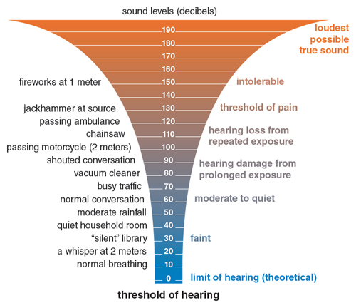 Sound levels commonly encountered by the human ear vary enormously in intensity; extreme quiet is very rare. The decibel scale is logarithmic, meaning that each 10 decibel increase corresponds to 10 times the sound intensity. <strong>Illustration by Barbara Aulicino.</strong>