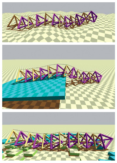 A simulated tensegrity robot called Tetraspine negotiates challenging terrain using an undulating motion. Tetraspine is being developed by engineers at NASA Ames Research Center.  <strong>Image courtesy of Brian T. Mirletz.</strong>