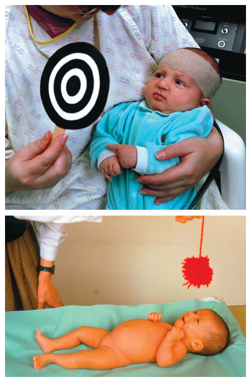 Parents are often told that their newborns require bold contrasts such as black and white patterns (<em>top</em>) and bright colors (<em>bottom</em>) to promote normal visual development. Although newborns are attracted to these strong stimuli, research has shown that their visual systems are capable of resolving much more subtle patterns and colors. Although infants aren’t capable of verbalizing what they can see, we can nevertheless obtain objective estimates of their abilities using what’s called the <em>forced-choice preferential looking method</em>, which takes advantage of infants’ natural preferences to look at, and orient towards, patterned stimuli. In addition to acuity, it has been used to track development of sensitivity to visual contrast, color, motion, and other visual features, as well as development of other sensory modalities, such as hearing. <strong>David Parker/Science Source (above); Ron Sutherland/Science Source (below).</strong>