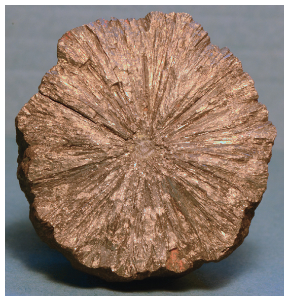 A broken surface of a 5-centimeter diameter pyrite nodule shows radiating pyrite crystals. <strong>Image courtesy of the author and Oxford University Press.</strong>
