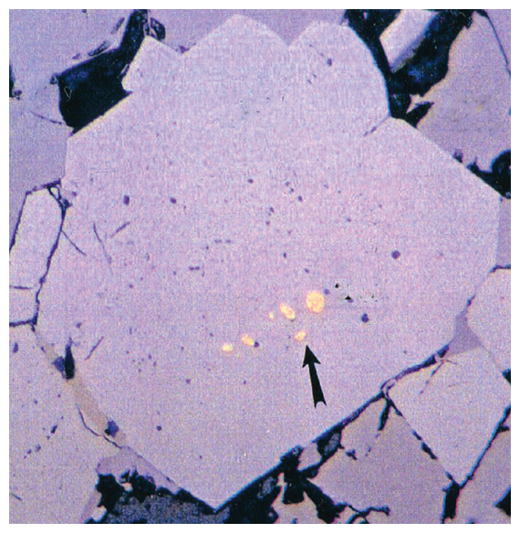 A photomicrograph, taken with a blue filter, shows small blebs of yellow gold (arrow) within a 0.3-millimeter pyrite crystal. <strong>Image courtesy of the author and Oxford University Press.</strong>
