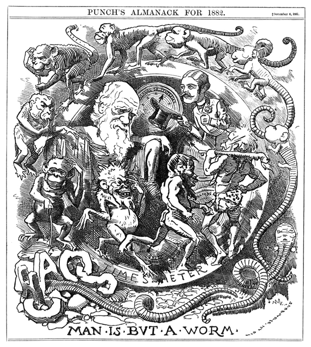 This 1882 cartoon from <em>Punch’s Almanack</em> puckishly suggests that “man is but a worm” as it speculates about the evolutionary path that produced a life form native to England, the dapper Victorian gentleman. Reactions to <em>On the Origin of Species</em> were mostly critical at first, even among scholars, authors Bill Mesler and H. James Cleaves II explain, but “the strength of Darwin’s arguments gradually won over the scientific community.” <strong>From <em>A Brief History of Creation</em>. Wikimedia Commons</strong>