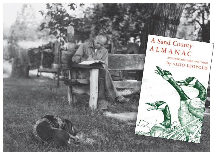 Scientist and environmental writer Aldo Leopold vividly described his own unnecessary killing of wolves in his 1949 collection of essays, <em>A Sand County Almanac</em>. He used his confession to inspire others to recognize the value of each creature in an ecosystem. <strong>The Aldo Leopold Foundation, Oxford University Press</strong>