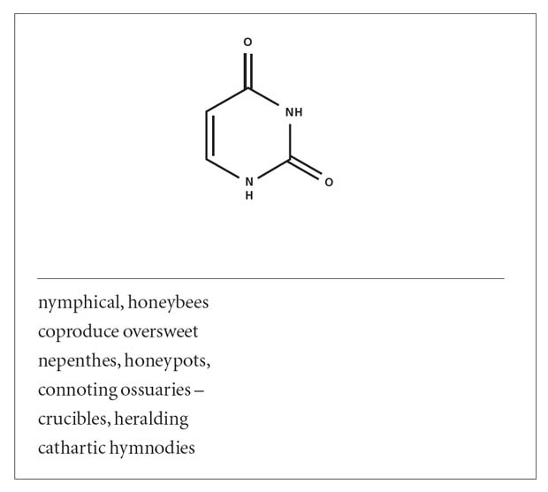 “Uracil (C<sub>4</sub>H<sub>4</sub>N<sub>2</sub>O<sub>2</sub>),” from <em>The Xenotext: Book 1</em> <strong>© Christian Bök 2015. Used with permission of Coach House Books.</strong>