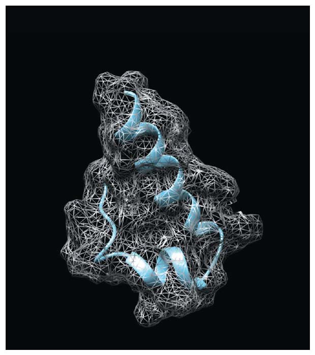 Charge envelope for [ I S I A L I W L L L I R I F L ]. From “The March of the Nucleotides,” <em>The Xenotext: Book 1</em> <strong>© Christian Bök 2015. Used with permission of Coach House Books.</strong>