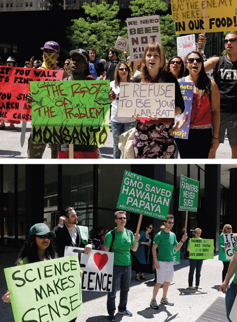 Protesters (<em>above</em>) and supporters (<em>below</em>) of genetically modified foods often have websites or other news sources that selectively support their own views. Without good-quality, local sources of news to replace the disappearing newspapers that residents once trusted, many now turn to ideologically biased sites, or to social media streams tailored to their preferences, for their information. Restoring local news, however, will likely take large amounts of philanthropic funding as well as support from nontraditional sources, such as universities. <strong>Todd Bannor/Alamy Stock Photo</strong>