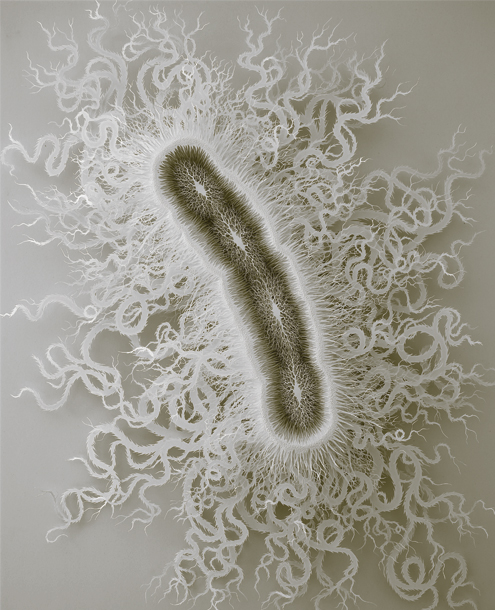 A dramatic rendition of a flagellate bacterium, titled "Cut Microbe,"