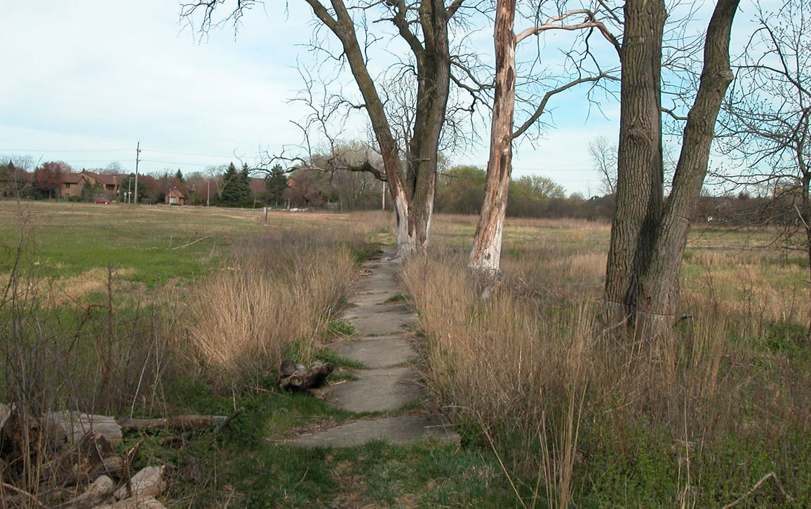 Wolf Road Prairie abandoned development