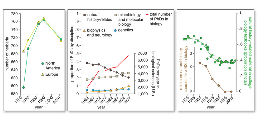 Why Ecology Needs Natural History American Scientist - 