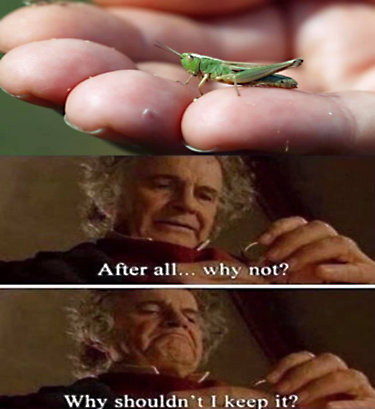 Can internet memes help conserve uncharismatic wildlife? - The Wildlife Society