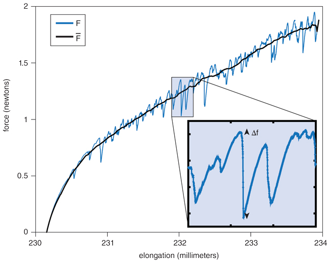 Adventures in Mathematical Knitting