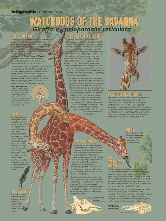 Watchdogs of the Savanna | American Scientist Watchdogs of the Savanna | American Scientist