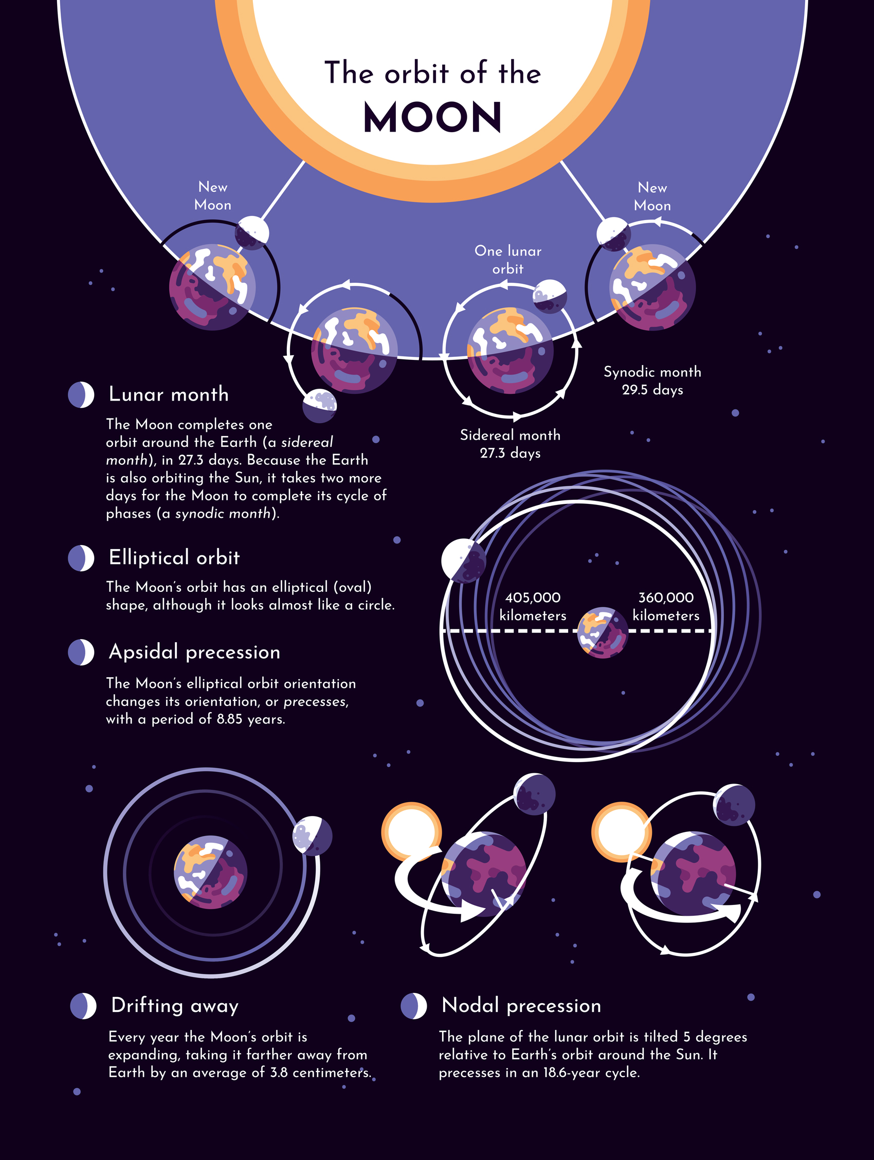 Berigalaxy: What Happens When You Enter Its Orbit?