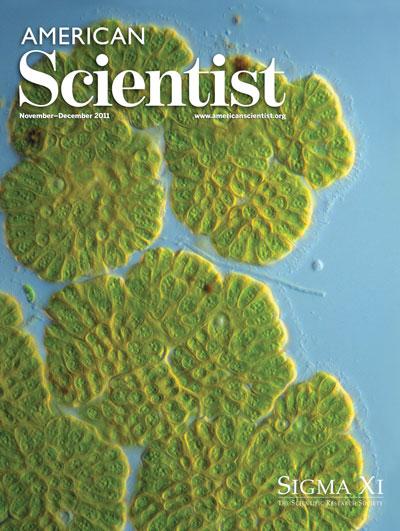 Current Issue