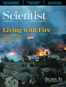 Current Issue