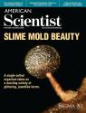 Current Issue