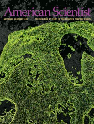 November-December - 2005 - Volume: 93 - Number: 6