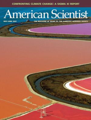 May-June - 2007 - Volume: 95 - Number: 3