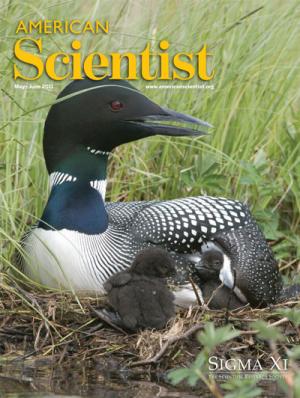 May-June - 2011 - Volume: 99 - Number: 3