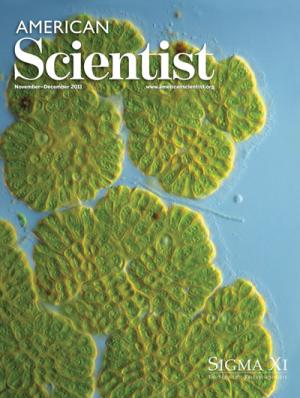 November-December - 2011 - Volume: 99 - Number: 6