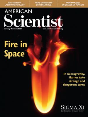 January-February - 2016 - Volume: 104 - Number: 1