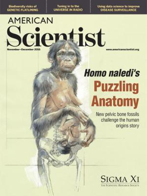 November-December - 2016 - Volume: 104 - Number: 6