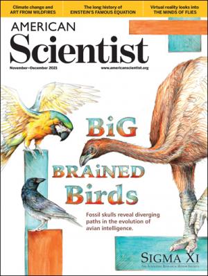 November-December - 2021 - Volume: 109 - Number: 6