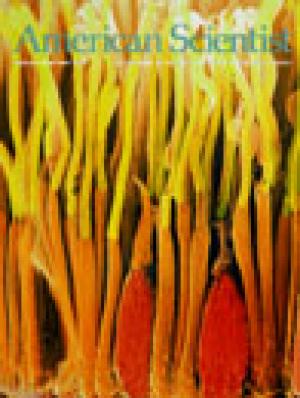 January-February - 2003 - Volume: 91 - Number: 1