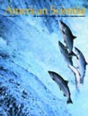 May-June - 2001 - Volume: 89 - Number: 3