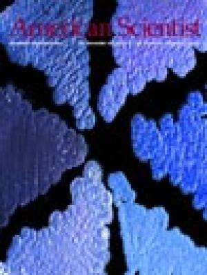 November-December - 2003 - Volume: 91 - Number: 6