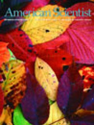 November-December - 2002 - Volume: 90 - Number: 6