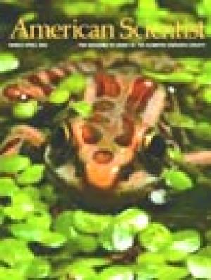 March-April - 2004 - Volume: 92 - Number: 2