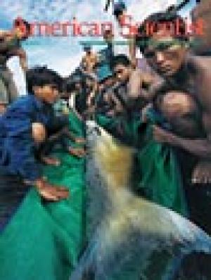 May-June - 2004 - Volume: 92 - Number: 3