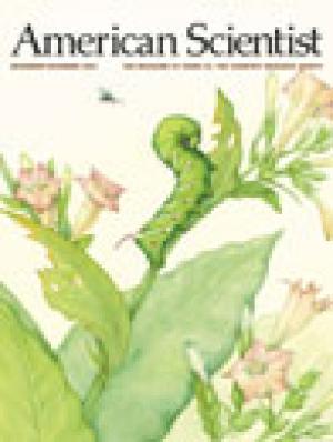 November-December - 2004 - Volume: 92 - Number: 6